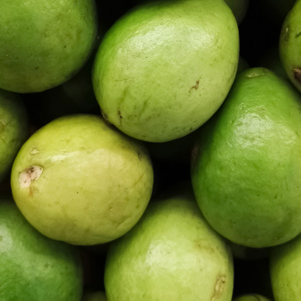 Les Canadiens profitent d'un accès à une vaste de gamme de magnifiques aliments importés