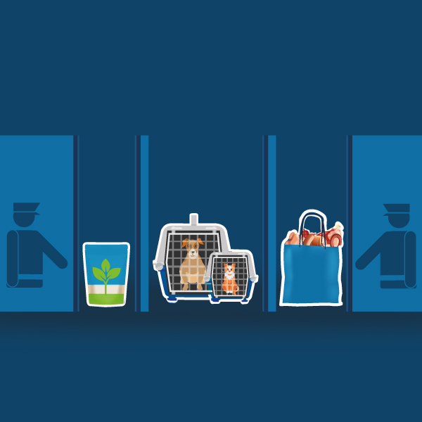 Les aliments, les végétaux et les animaux