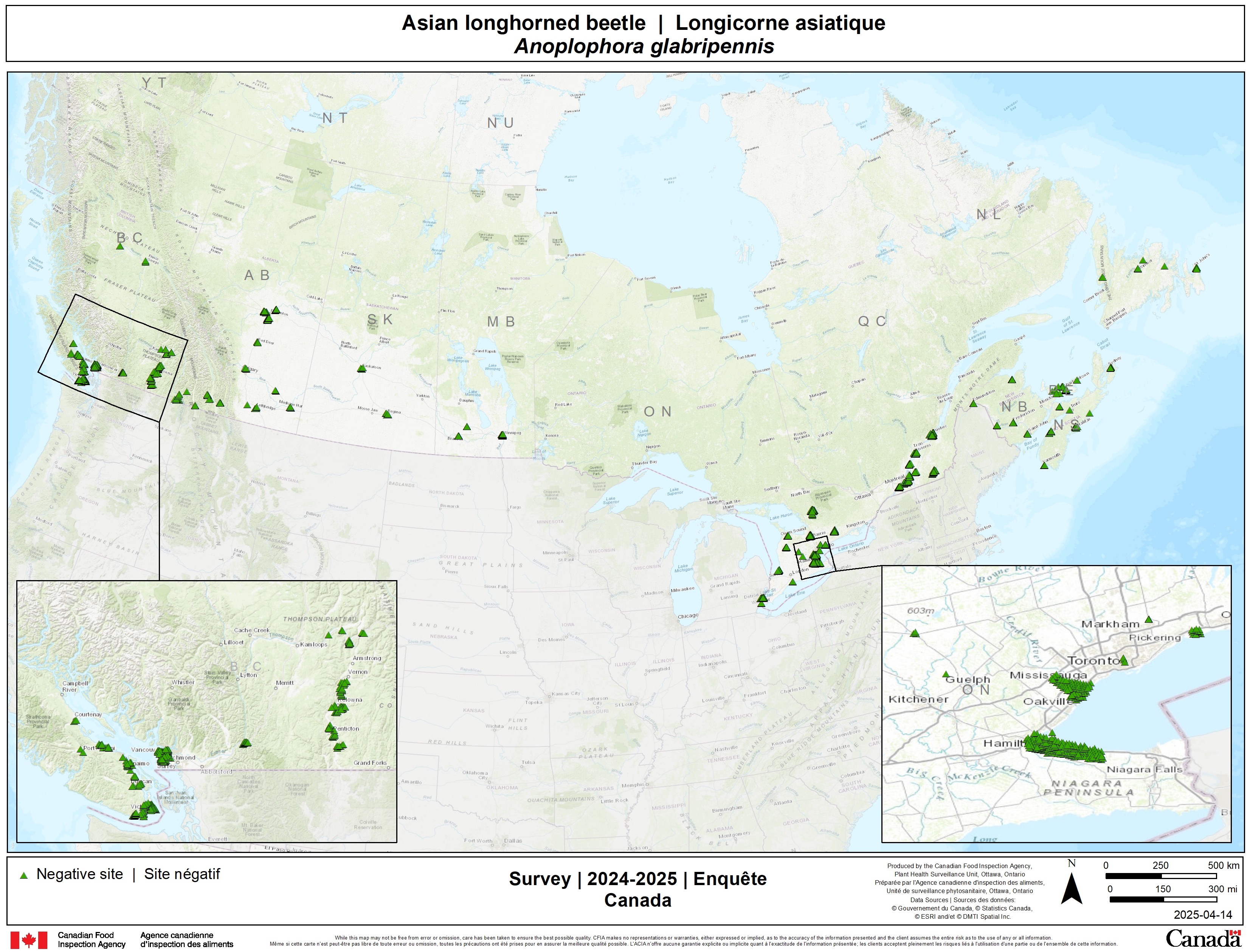 2024 for the Asian longhorned beetle survey results
