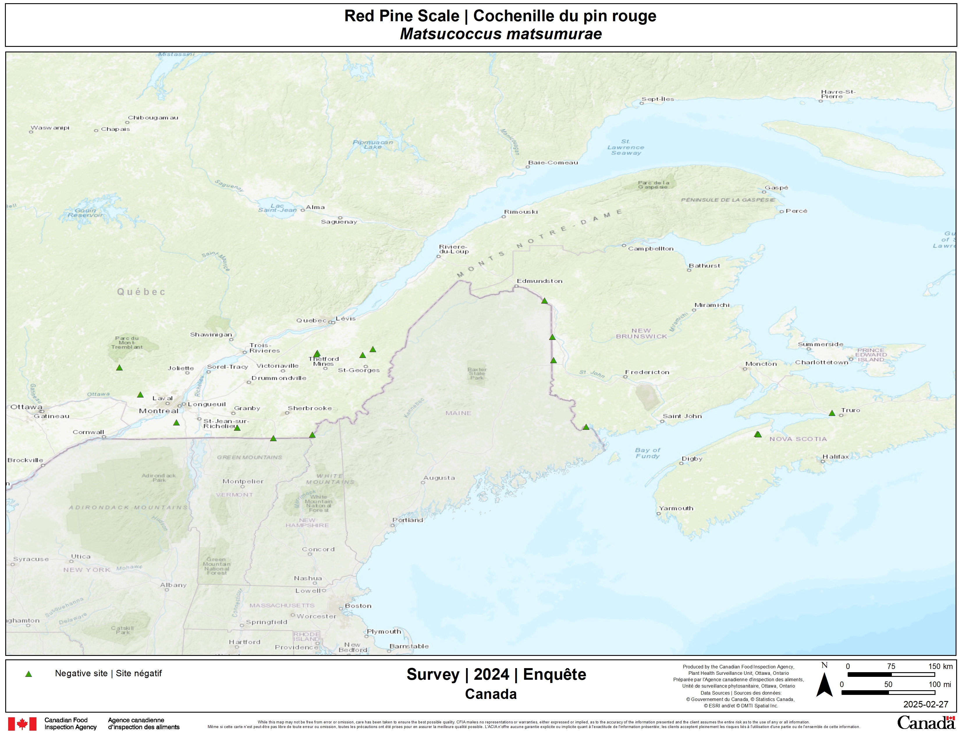 2024 for the red pine scale survey results