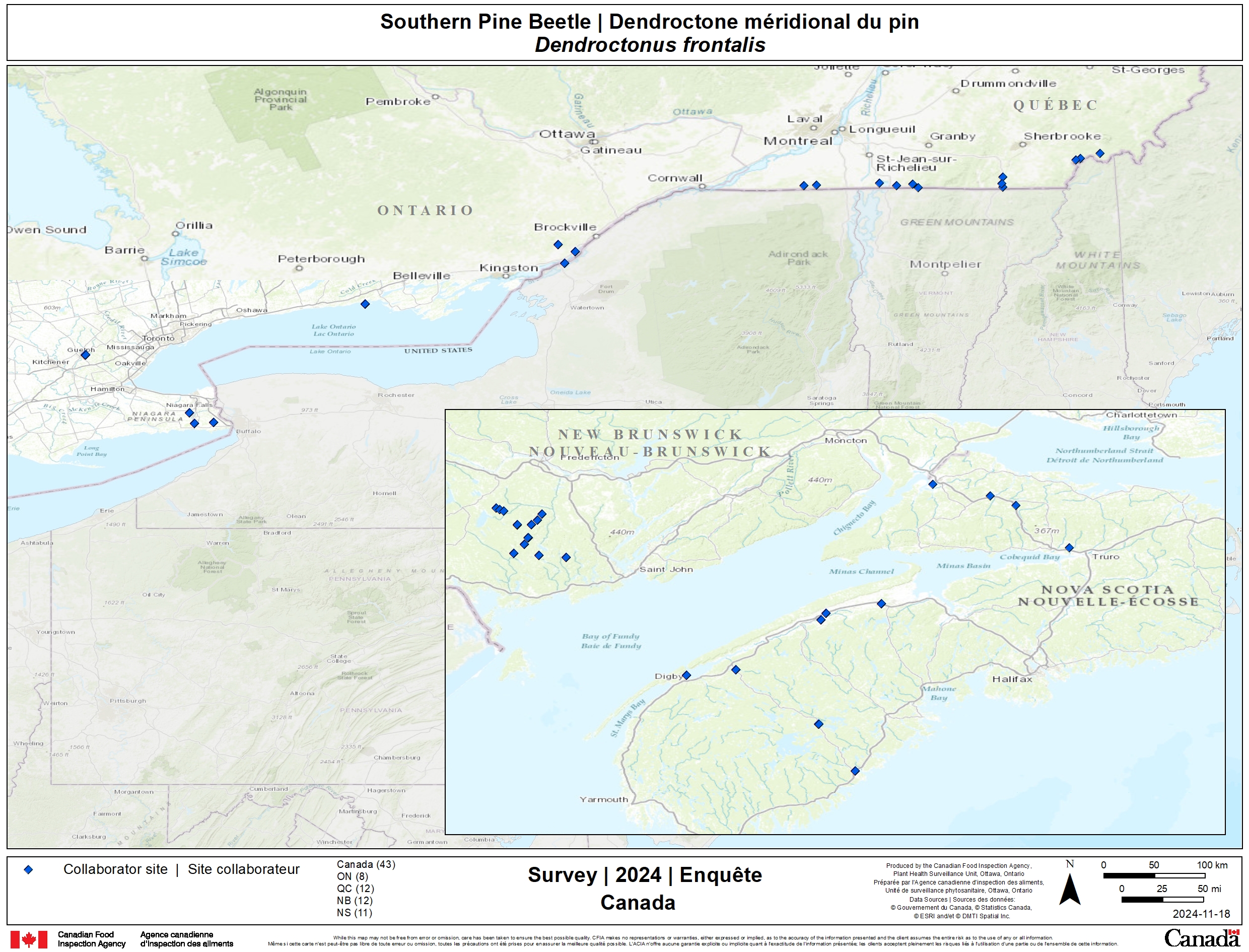 2024 southern pine beetle survey results