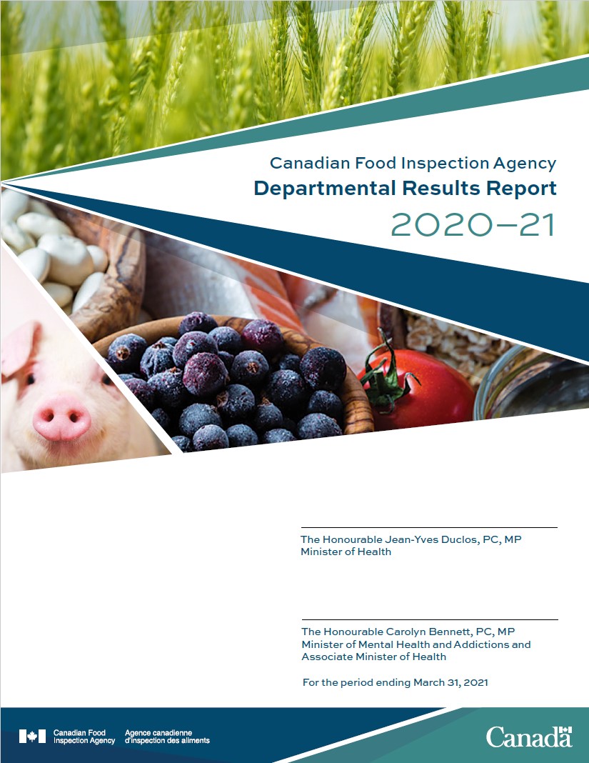 2020 to 2021 Departmental Results Report