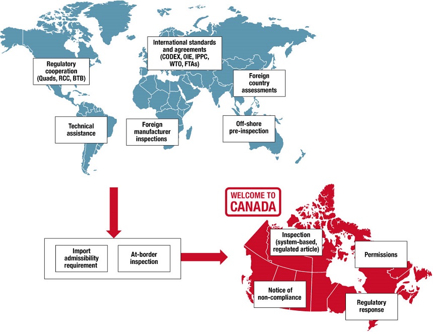 Activities to prevent/respond to risks from imported regulated articles. Description follows.