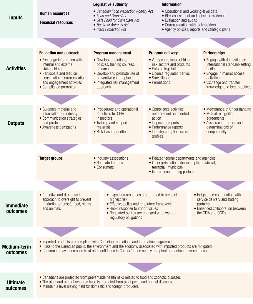 Import Program logic model. Description follows.