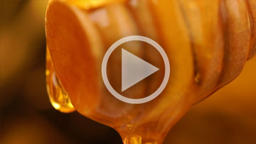 L'analyse du miel