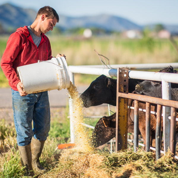 Tony van Vonderen, CFIA National Animal Feed Program Coordinator