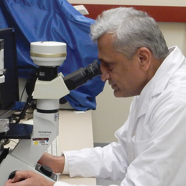 CFIA Scientist, Dr. Zaheer Iqbal using a microscope to analyze a sample.