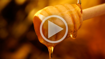 L'analyse du miel