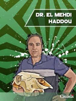 Dr. El Mehdi Haddou - trading card