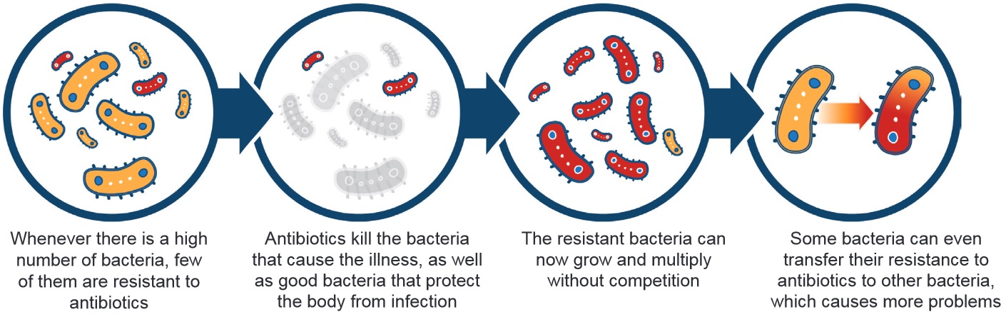 Antimicrobials Fact Sheet