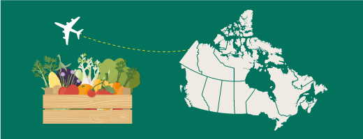 Rules, licences, fees, certificates and notices for exporting food from Canada to another country.