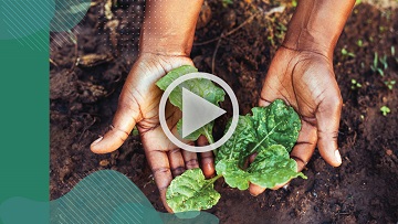 A sustainable future rooted in healthy soil