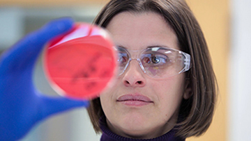 A CFIA scientist in a laboratory inspects a Petri dish.