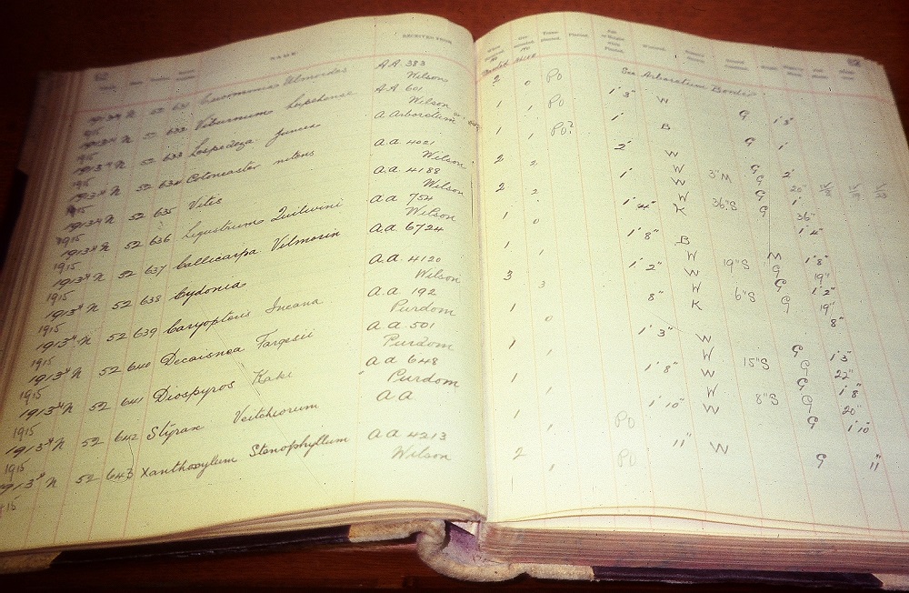 Detailed records of early orders and plantings.
