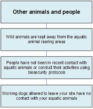 Other animals and people that may enter your aquatic animal facility or farm. Description follows.