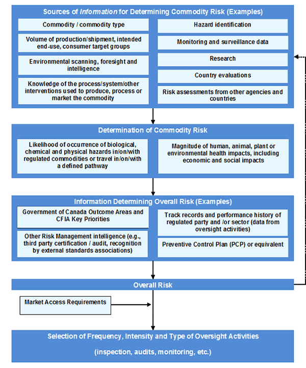 Figure 1: Risk-based Oversight Process. Description follows.