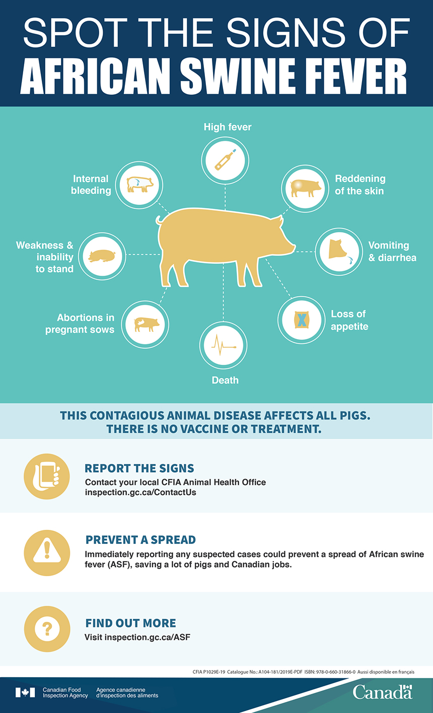 Spot the signs of African swine fever (ASF). Description follows.