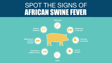 Spot the signs of African swine fever (ASF)