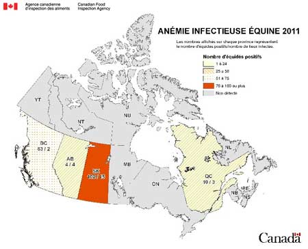 carte - Anémie infectieuse des équidés - Canada