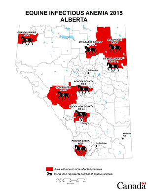 Map - Equine Infectious Anemia 2015, Alberta. Description follows.