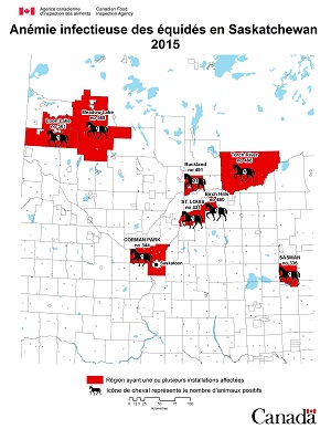 Carte - anémie infectieuse des équidés en Saskatchewan 2015. Description ci-dessous