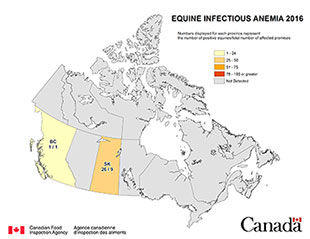 Map - Equine Infectious Anemia 2016, Canada. Description follows.