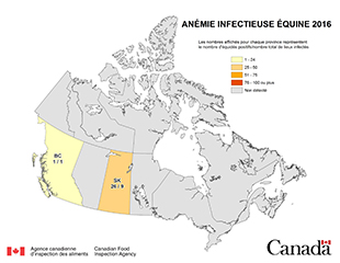 Carte - anémie infectieuse des équidés en Canada 2016. Description ci-dessous