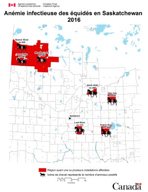 Carte - anémie infectieuse des équidés en Saskatchewan 2016. Description ci-dessous