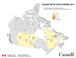 Carte - anémie infectieuse des équidés en Canada 2017. Description ci-dessous