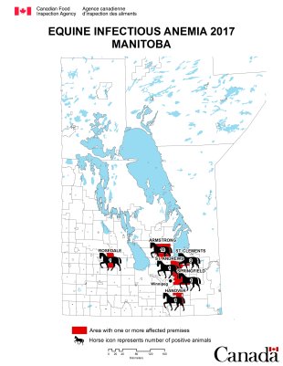 Map - Equine Infectious Anemia 2017, Manitoba. Description follows.