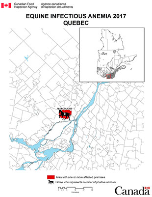 Map - Equine Infectious Anemia 2017, Quebec. Description follows.