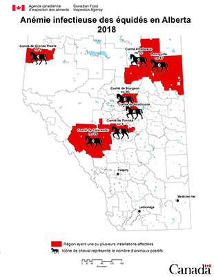 Carte - anémie infectieuse des équidés en Alberta 2018. Description ci-dessous