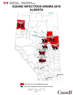 Map - Equine Infectious Anemia 2019, Alberta. Description follows.