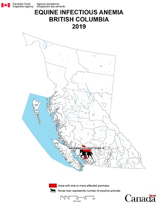 Map - Equine Infectious Anemia 2019, British Columbia. Description follows.