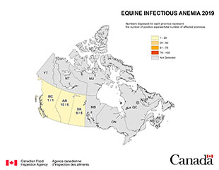 Map - Equine Infectious Anemia 2019, Canada. Description follows.