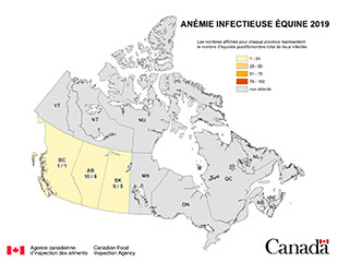 Carte - anémie infectieuse des équidés en Canada 2019. Description ci-dessous