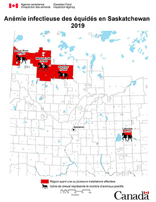 Carte - anémie infectieuse des équidés en Saskatchewan 2019. Description ci-dessous