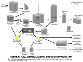 Fuel Ethanol and Co-Products Production