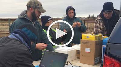 Video: Field testing