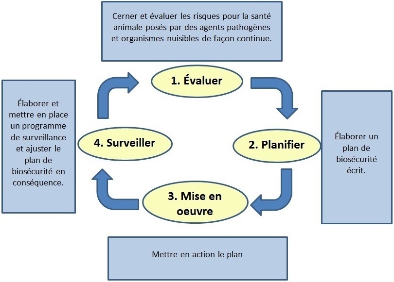 Figure 1 – Élaborer et gérer le plan de biosécurité. Description ci-dessous.
