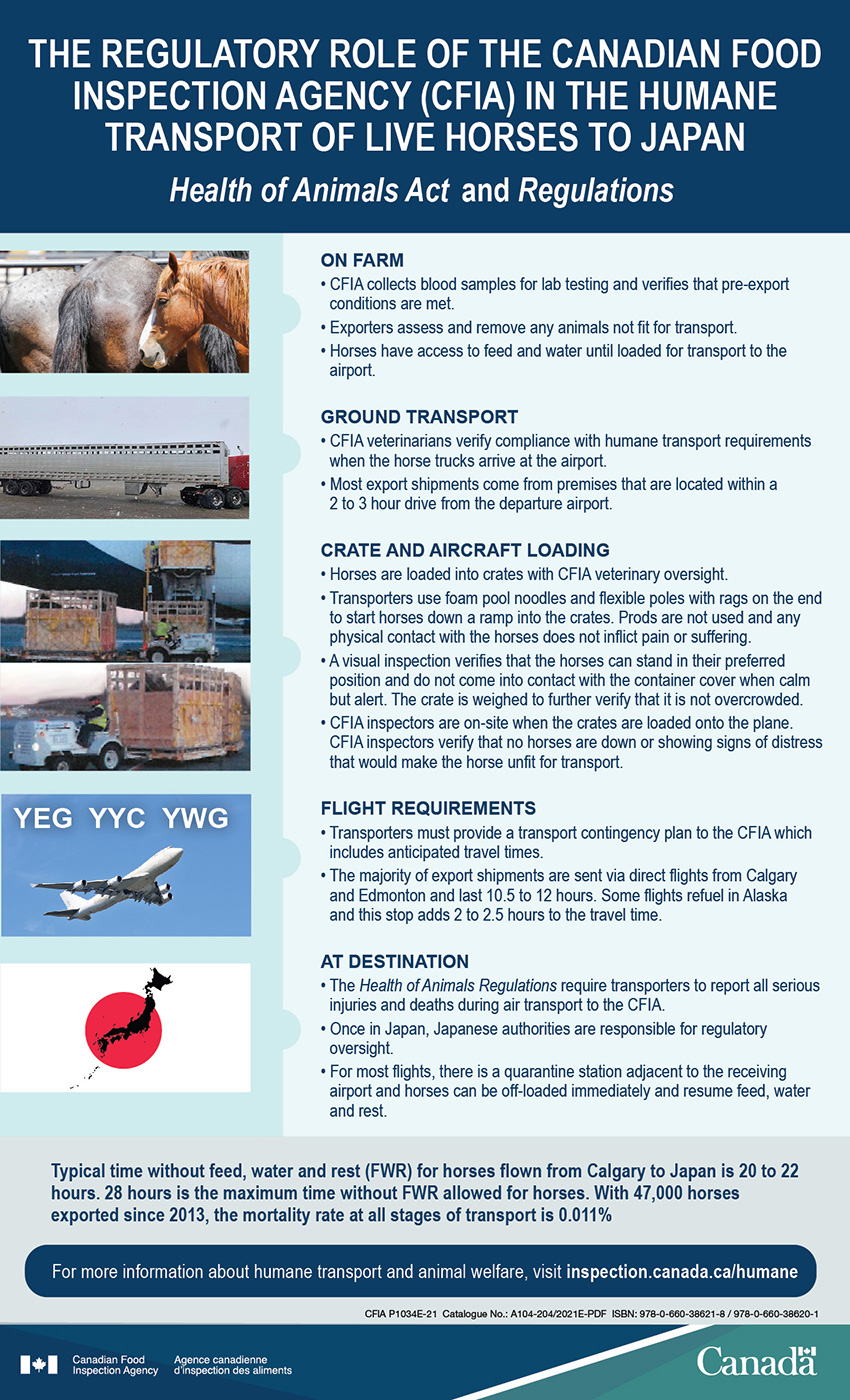 The regulatory role of the CFIA in the humane transport of live horses to  Japan – Health of Animals Act and Regulations - Canadian Food Inspection  Agency