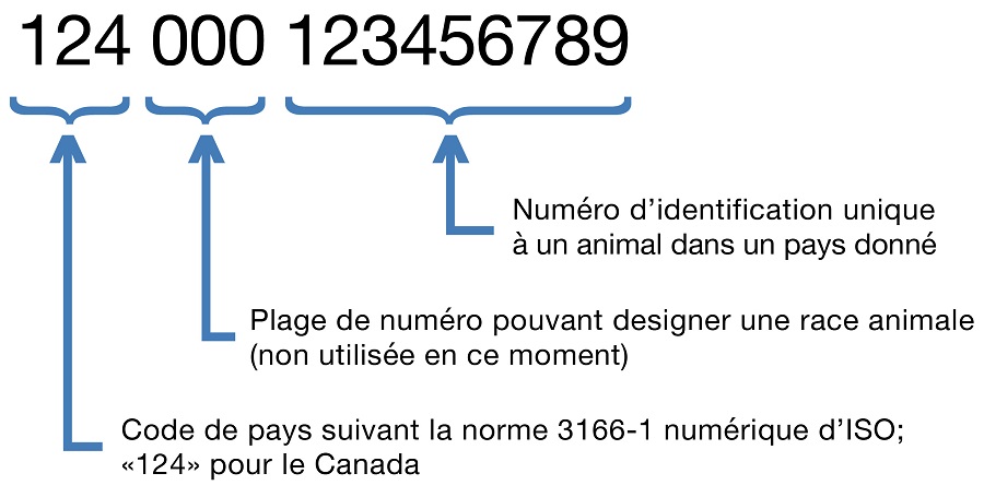 Image - Figure 3 : Format des numéros d'identification selon la norme ISO 11,784. Description ci-dessous.