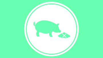 La PPA peut avoir un effet dévastateur sur les troupeaux de porcs. La biosécurité à la ferme est essentielle pour aider à prévenir le développement et la propagation de maladies.