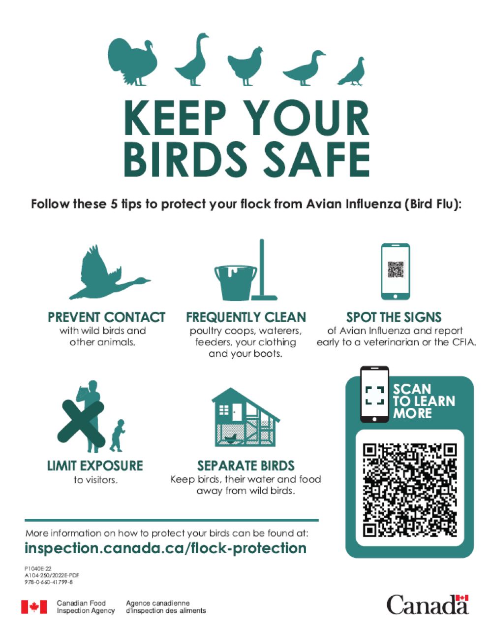 Keep your birds safe.
