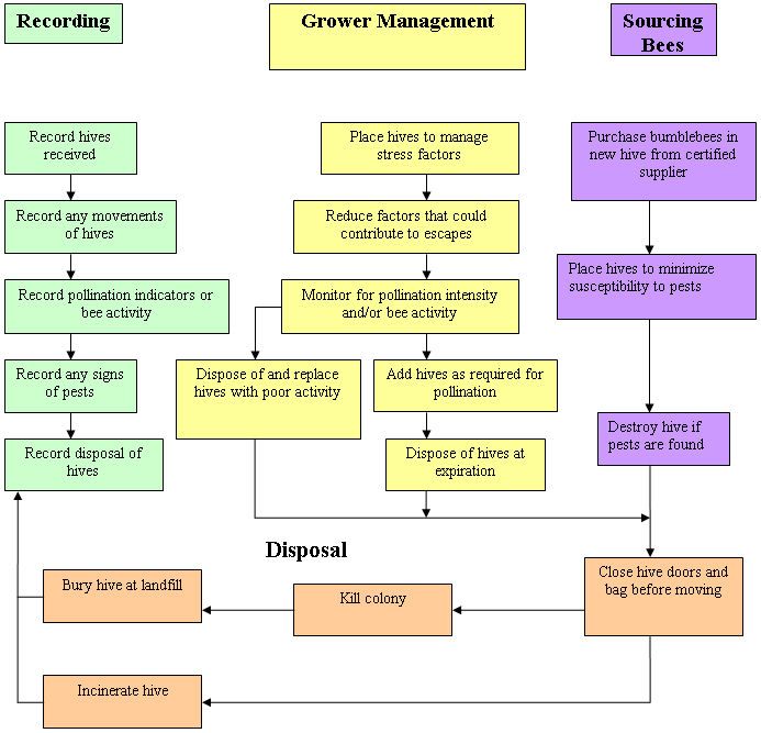 Flowchart - Grower Operating Steps – Bumblebees. Description follows.