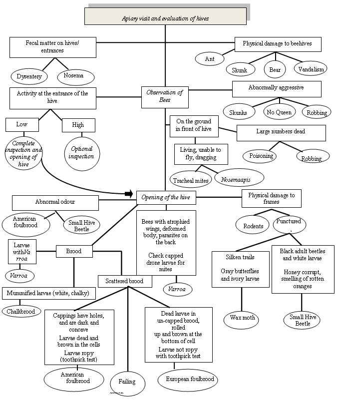 Flowchart - Flowchart - Honey Bee Pest Diagnosis and Monitoring. Description follows.