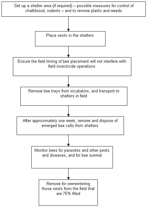 Flowchart - Field Activities. Description follows.