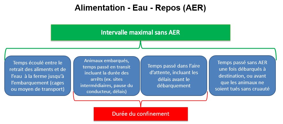 Aliments - Eau - Repos (AER) diffère des périodes de confinement et de transport comme indiqué