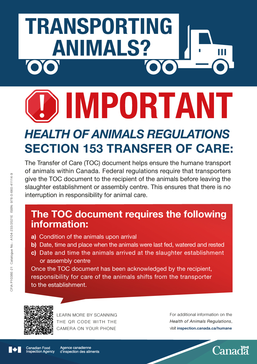 Transfer of care requirements for transporting animals - description follows