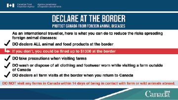 Pamphlet: Traveller's guide to protect Canada from foreign animal diseases